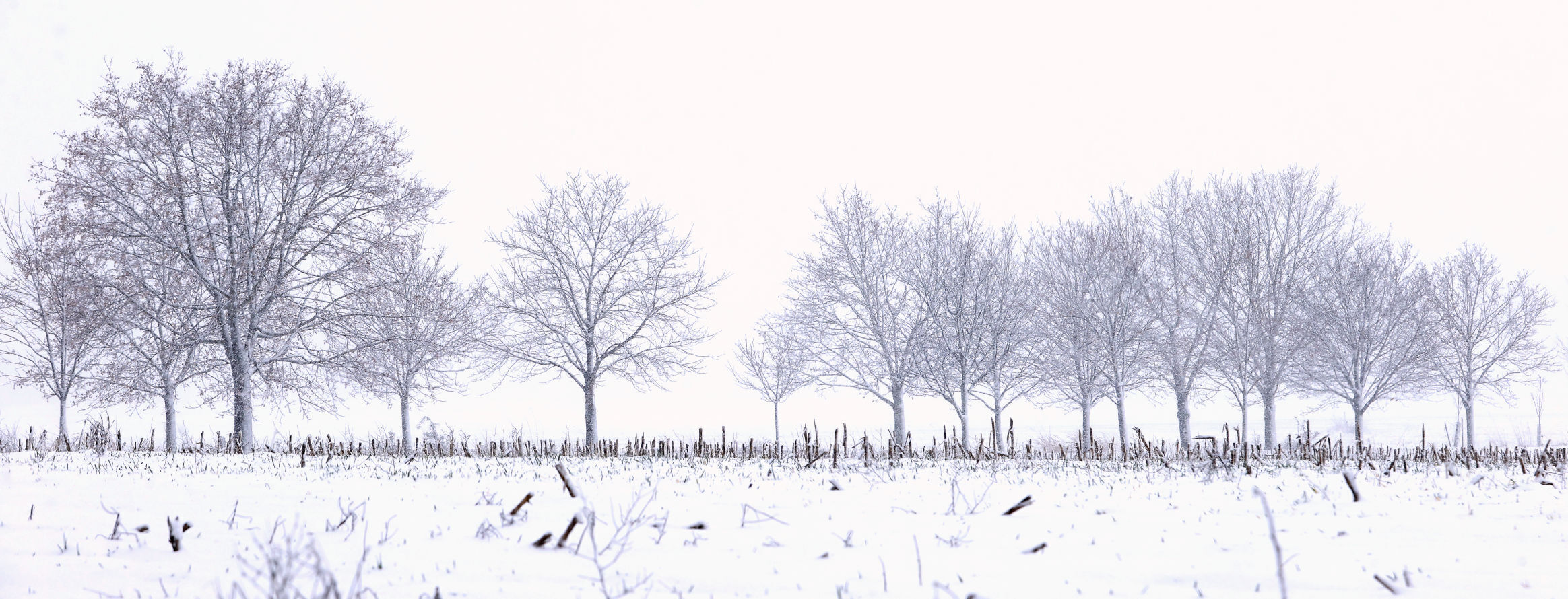 20220104_MET_SNOW_AWE10